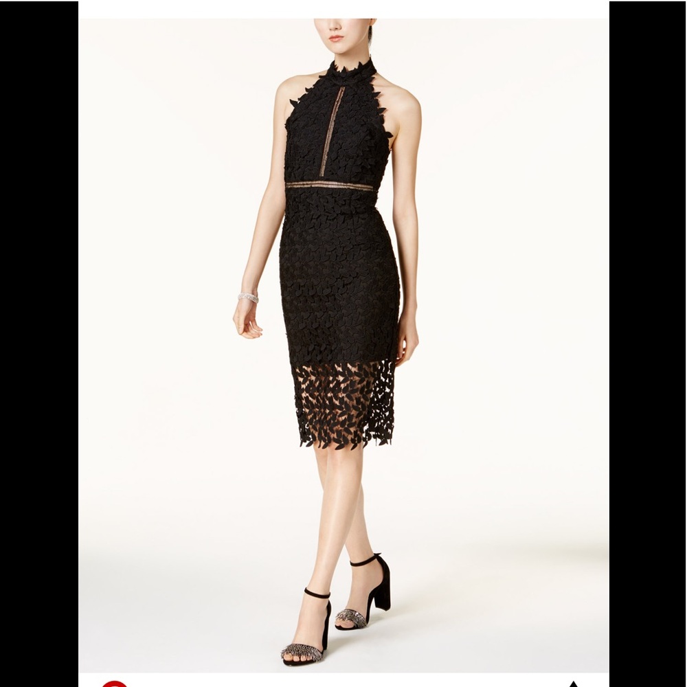 Bardot black lace illusion dress